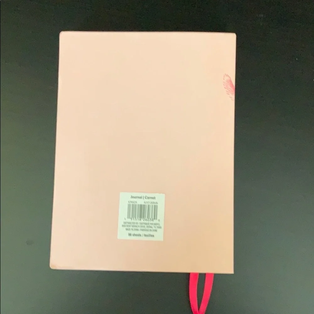 Carnet Stay Curious Cat Pink 96 Page Lined Journal